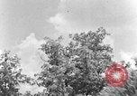 Image of lumbering Kentucky United States USA, 1940, second 28 stock footage video 65675050024