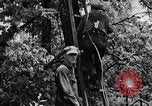 Image of lumbering Kentucky United States USA, 1940, second 31 stock footage video 65675050024