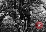 Image of lumbering Kentucky United States USA, 1940, second 32 stock footage video 65675050024