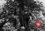 Image of lumbering Kentucky United States USA, 1940, second 33 stock footage video 65675050024