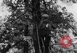 Image of lumbering Kentucky United States USA, 1940, second 34 stock footage video 65675050024