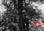 Image of lumbering Kentucky United States USA, 1940, second 35 stock footage video 65675050024
