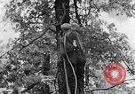 Image of lumbering Kentucky United States USA, 1940, second 36 stock footage video 65675050024
