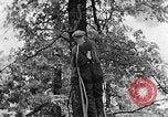 Image of lumbering Kentucky United States USA, 1940, second 37 stock footage video 65675050024