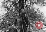Image of lumbering Kentucky United States USA, 1940, second 38 stock footage video 65675050024