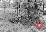 Image of lumbering Kentucky United States USA, 1940, second 39 stock footage video 65675050024