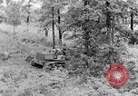 Image of lumbering Kentucky United States USA, 1940, second 40 stock footage video 65675050024
