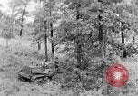 Image of lumbering Kentucky United States USA, 1940, second 42 stock footage video 65675050024