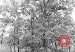 Image of lumbering Kentucky United States USA, 1940, second 43 stock footage video 65675050024