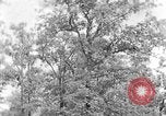 Image of lumbering Kentucky United States USA, 1940, second 44 stock footage video 65675050024