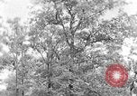 Image of lumbering Kentucky United States USA, 1940, second 45 stock footage video 65675050024
