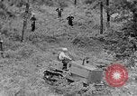 Image of lumbering Kentucky United States USA, 1940, second 51 stock footage video 65675050024