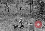 Image of lumbering Kentucky United States USA, 1940, second 52 stock footage video 65675050024
