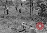 Image of lumbering Kentucky United States USA, 1940, second 53 stock footage video 65675050024