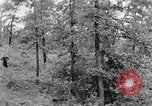 Image of lumbering Kentucky United States USA, 1940, second 54 stock footage video 65675050024