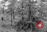 Image of lumbering Kentucky United States USA, 1940, second 55 stock footage video 65675050024