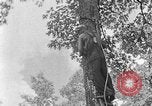 Image of lumbering Kentucky United States USA, 1940, second 59 stock footage video 65675050024