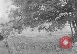 Image of farm boys Kentucky United States USA, 1940, second 1 stock footage video 65675050029
