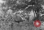 Image of farm boys Kentucky United States USA, 1940, second 3 stock footage video 65675050029