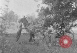 Image of farm boys Kentucky United States USA, 1940, second 15 stock footage video 65675050029