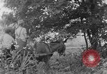Image of farm boys Kentucky United States USA, 1940, second 23 stock footage video 65675050029