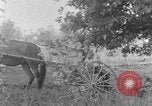 Image of farm boys Kentucky United States USA, 1940, second 29 stock footage video 65675050029