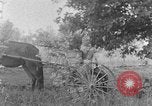 Image of farm boys Kentucky United States USA, 1940, second 30 stock footage video 65675050029