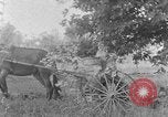 Image of farm boys Kentucky United States USA, 1940, second 31 stock footage video 65675050029