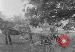 Image of farm boys Kentucky United States USA, 1940, second 33 stock footage video 65675050029