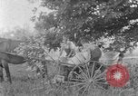 Image of farm boys Kentucky United States USA, 1940, second 36 stock footage video 65675050029