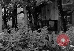 Image of farm boys Kentucky United States USA, 1940, second 42 stock footage video 65675050029