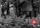 Image of farm boys Kentucky United States USA, 1940, second 43 stock footage video 65675050029