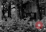 Image of farm boys Kentucky United States USA, 1940, second 44 stock footage video 65675050029