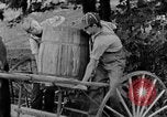 Image of farm boys Kentucky United States USA, 1940, second 46 stock footage video 65675050029