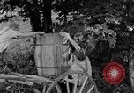 Image of farm boys Kentucky United States USA, 1940, second 50 stock footage video 65675050029