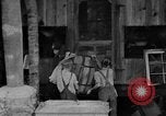 Image of farm boys Kentucky United States USA, 1940, second 56 stock footage video 65675050029
