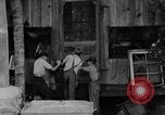 Image of farm boys Kentucky United States USA, 1940, second 61 stock footage video 65675050029