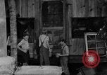 Image of farm boys Kentucky United States USA, 1940, second 62 stock footage video 65675050029
