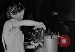 Image of women in kitchen Kentucky United States USA, 1940, second 12 stock footage video 65675050030