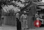 Image of timber store Kentucky United States USA, 1940, second 8 stock footage video 65675050031