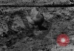 Standbild Feld pflügen Calhoun Alabama USA, 1940, aus Sekunde 1 historischem Filmmaterial Videoclip 65675050035