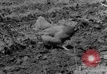 Standbild Feld pflügen Calhoun Alabama USA, 1940, aus Sekunde 4 historischem Filmmaterial Videoclip 65675050035