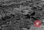 Standbild Feld pflügen Calhoun Alabama USA, 1940, aus Sekunde 5 historischem Filmmaterial Videoclip 65675050035