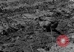 Standbild Feld pflügen Calhoun Alabama USA, 1940, aus Sekunde 6 historischem Filmmaterial Videoclip 65675050035