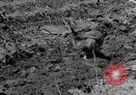 Standbild Feld pflügen Calhoun Alabama USA, 1940, aus Sekunde 8 historischem Filmmaterial Videoclip 65675050035