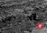 Standbild Feld pflügen Calhoun Alabama USA, 1940, aus Sekunde 9 historischem Filmmaterial Videoclip 65675050035