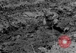 Standbild Feld pflügen Calhoun Alabama USA, 1940, aus Sekunde 11 historischem Filmmaterial Videoclip 65675050035