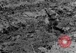 Standbild Feld pflügen Calhoun Alabama USA, 1940, aus Sekunde 12 historischem Filmmaterial Videoclip 65675050035