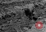 Standbild Feld pflügen Calhoun Alabama USA, 1940, aus Sekunde 16 historischem Filmmaterial Videoclip 65675050035