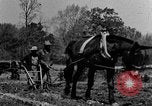 Standbild Feld pflügen Calhoun Alabama USA, 1940, aus Sekunde 35 historischem Filmmaterial Videoclip 65675050035